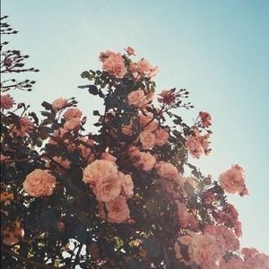 Meet your Posher, Zoe